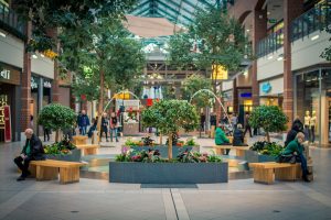 square-shopping